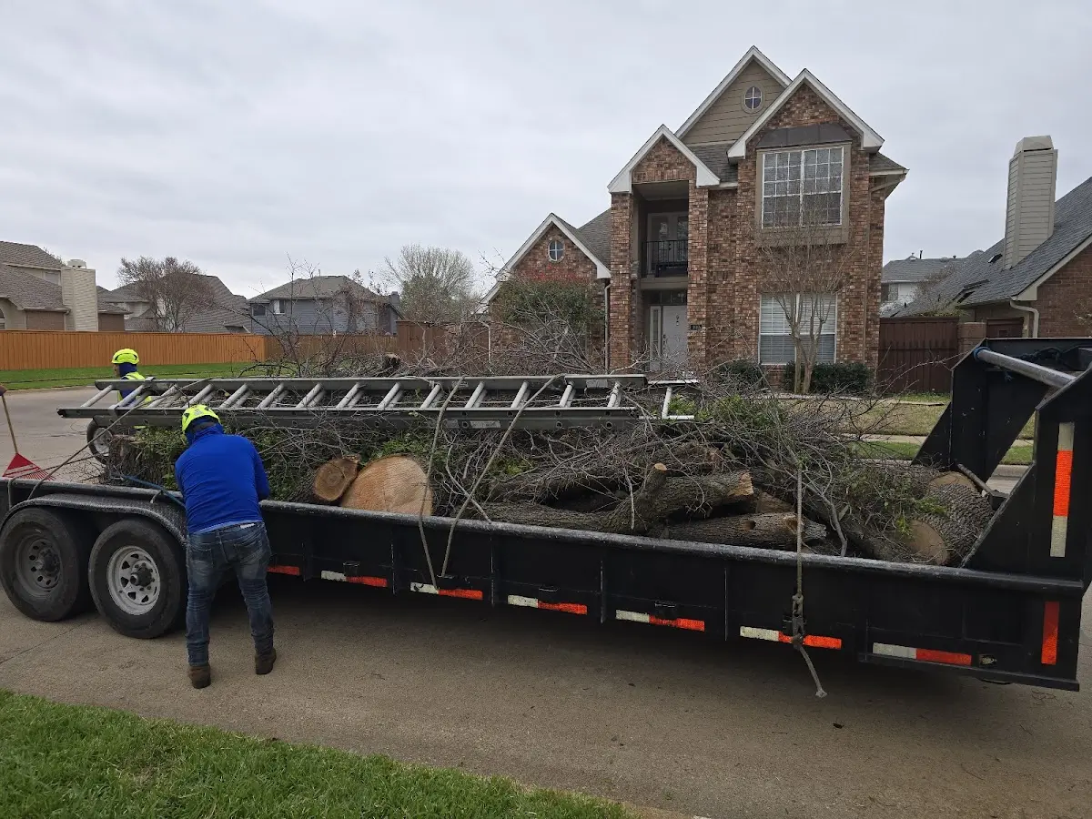 Expert Tree Pest Control with proper safety equipment in Owensburg